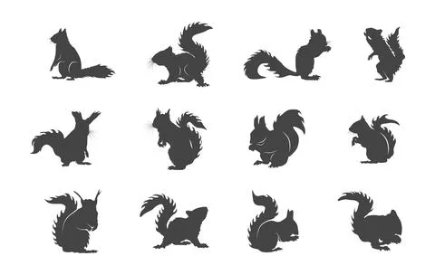 Squirrel silhouette, Squirrel svg, Squirrel clipart Stock Illustration