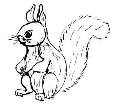 Squirrel simple grunge sketch 库存插图