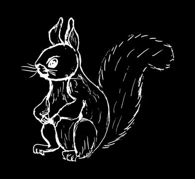 Squirrel simple grunge sketch 스톡 일러스트