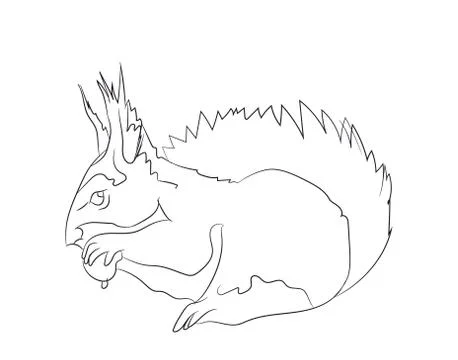 Squirrel sits, lines, vector, Stockillustratie