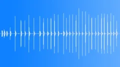 SQUIRREL Sound Effect