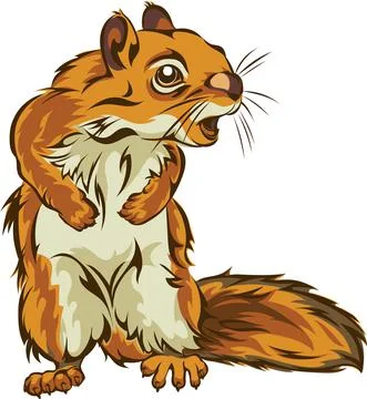 Squirrel, squirrel figure, realistic image Stock Illustration