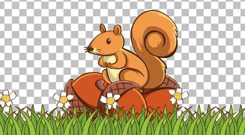 Squirrel standing on the grass field on transparent background Stock Illustration
