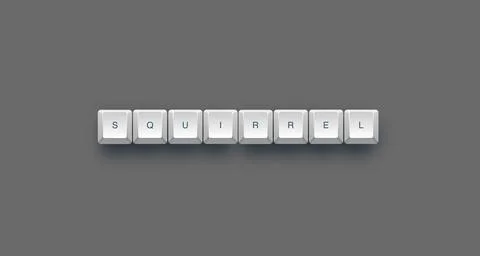 Squirrel text on a 3d keyboard button with shadow concept series Stock Illustration