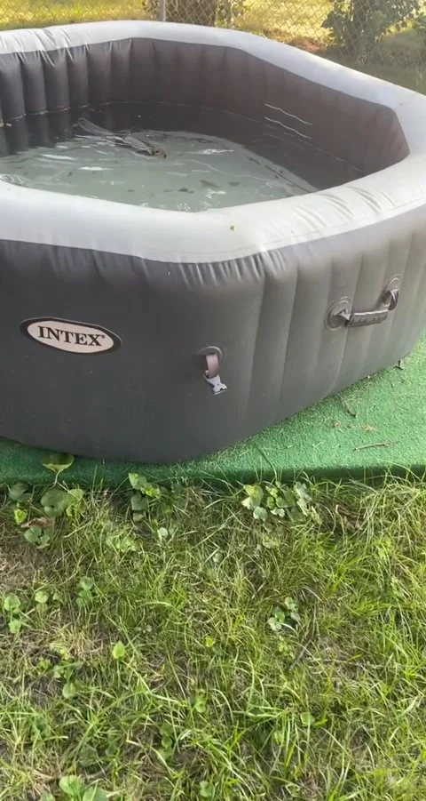 Squirrel Trapped in Hot Tub is Saved, St Louis Park, Minnesota, USA - 07 Sep 202 Stock Footage 209257648