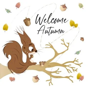 Squirrel on a tree branch Stock Illustration