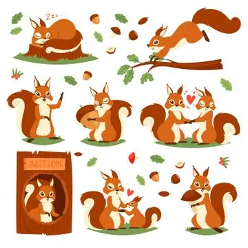 Squirrel vector cute animal jumping or sleeping in wildlife and lovely Illustrazione stock