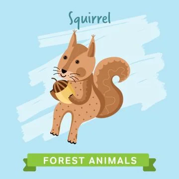 Squirrel Vector, forest animals. Stock Illustration