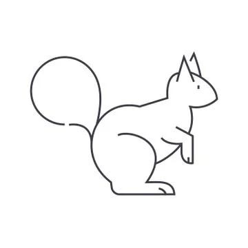 Squirrel vector line icon, sign, illustration on background, editable strokes 스톡 일러스트