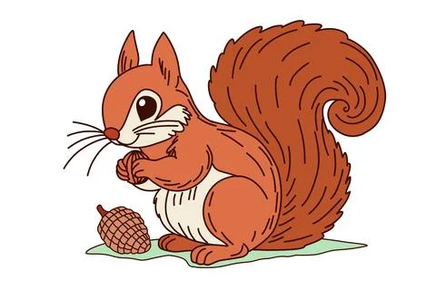 Squirrel vector pack.  Animals cartoon. Stock Illustration