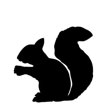 Squirrel vector silhouette illustration isolated イラスト素材
