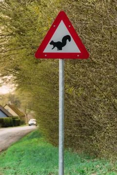 Squirrel warning sign Stock Photos
