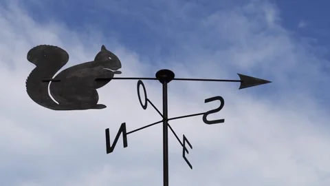 Squirrel wind vane spinning with blue sky and clouds on the background Stock Footage 280026648
