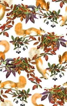 Squirrels and oak Illustrazione stock