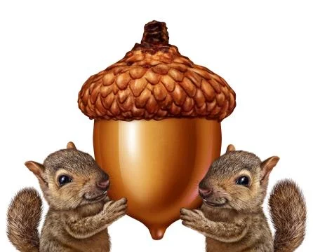 Squirrels holding an acorn Stock-Illustration