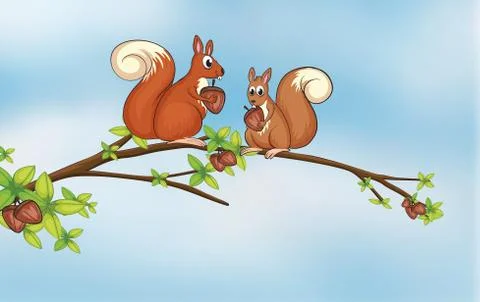 Squirrels Illustrazione stock