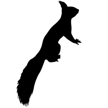 Squirrels silhouettes isolated on white background Illustrazione stock
