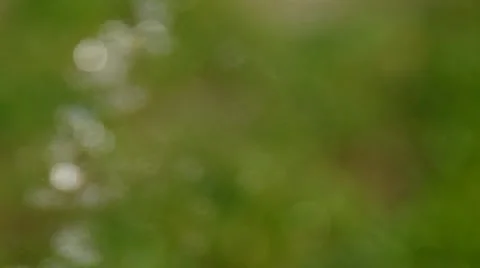 Squirting water drops as a bokeh Stock Footage 36740619