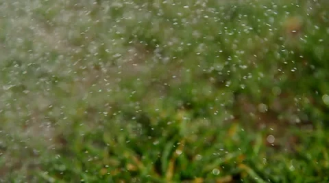 Squirting water drops Stock Footage 36740220