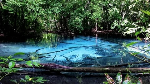 Sra Morakot Blue Pool at Krabi Province, Thailand. Stock Footage