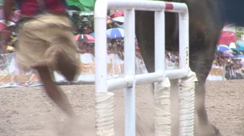 At the srart 10 Stock Footage 488195