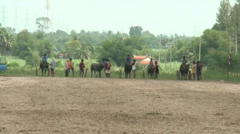 At the srart 3 Stock Footage 484844