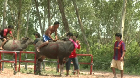 At the srart 4 Stock Footage 484838