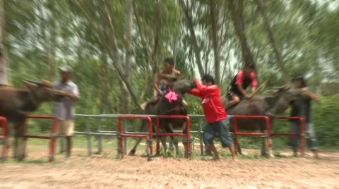 At the srart 5 스톡 동영상 484831