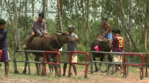 At the srart 6 Stock Footage 484828