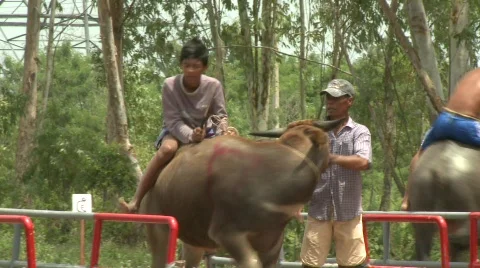 At the srart 7 Stock Footage 484823