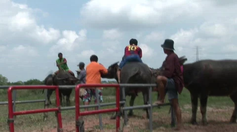 At the srart 9 Stock Footage 488203