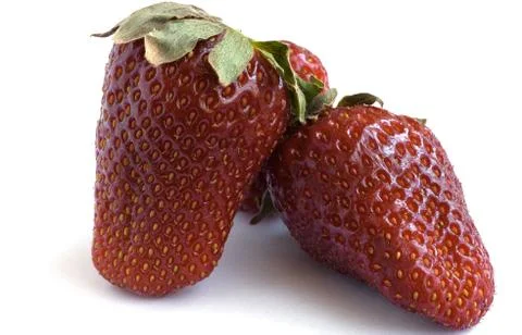 Srawberries Stock Photos