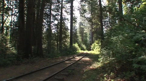 Sream train passing 2 Stock Footage 479098