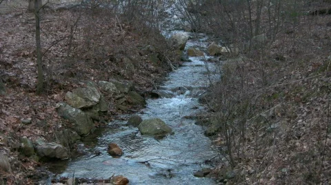 Sream in the Woods Stock Footage 838967