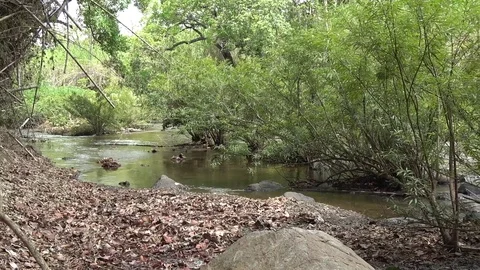 Srepok River tributary, Cambodia Stock Footage 121609406
