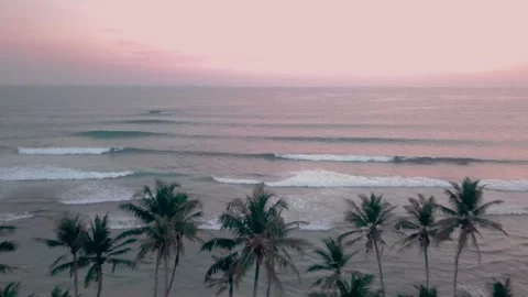 Sri Lanka beach surf break and palm trees Stock Footage