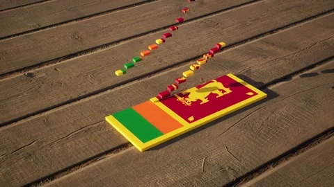 Sri Lanka Flag - Slow Motion Stock Footage 318907498