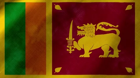 Sri lanka flag waving background with real fabric texture 스톡 동영상 291918925