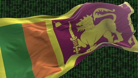 Sri Lanka flag - Waving flag on matrix binary code background Stock Footage 321421886