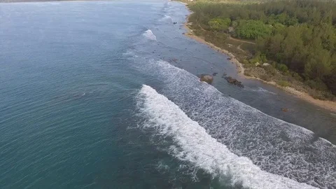 Sri Lanka 스톡 동영상 79316399