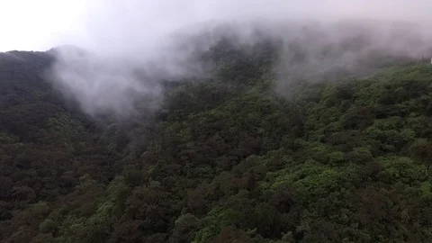 Sri Lanka Stock Footage 79414503