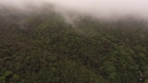 Sri Lanka Stock Footage 79414518