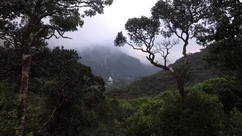 Sri Lanka 스톡 동영상 79414537