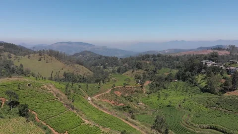 Sri Lanka Hewaheta Tea Estates Stock Footage 234511031