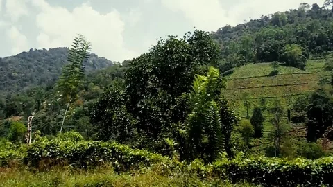 Sri lanka mountains Stock Footage 103095658