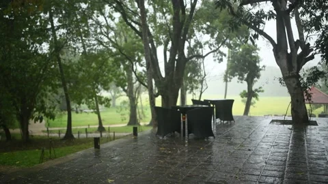 Sri Lanka nature Видео 182093699