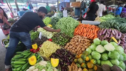 Sri Lanka raises value added tax to 18 percent to meet IMF targets, Colombo (es- Stock Footage 260172676