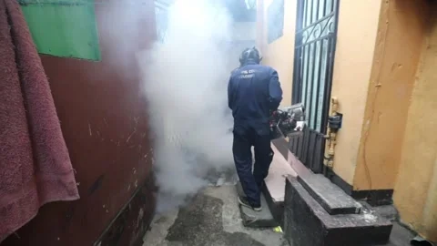 Sri Lanka reports rapid increase in dengue cases, Sri Lanka, LK - 31 May 2023 Stock Footage 242594141