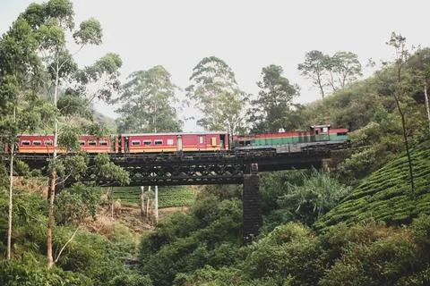 Sri lanka train in bridge Foto stock