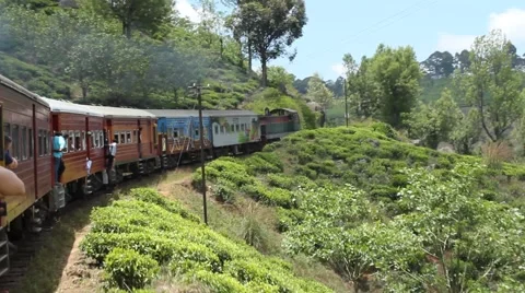 Sri Lanka - Train with Tea Plantations Stock Footage 40345044